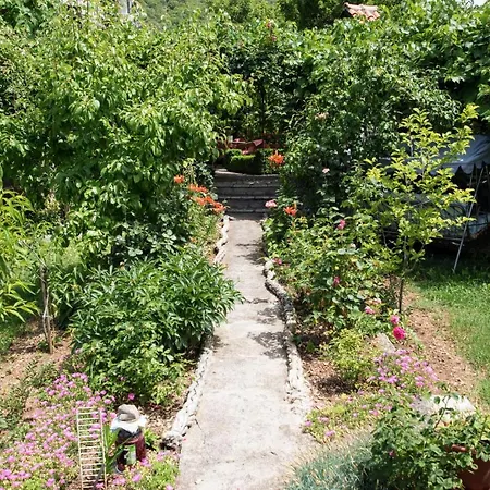 Frkovic Apartman