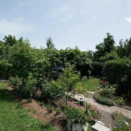 Apartment Frkovic